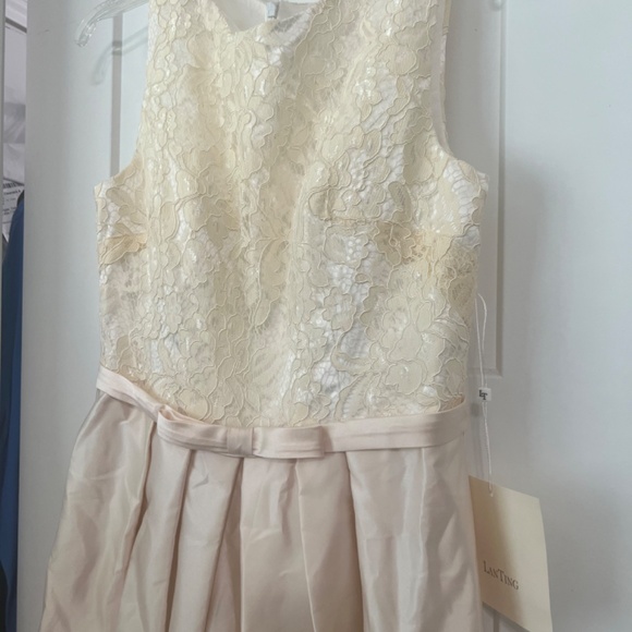 Mother of the Groom Dress A-Line Empire Elegant Wedding Guest Form Evening Dress - Picture 4 of 9